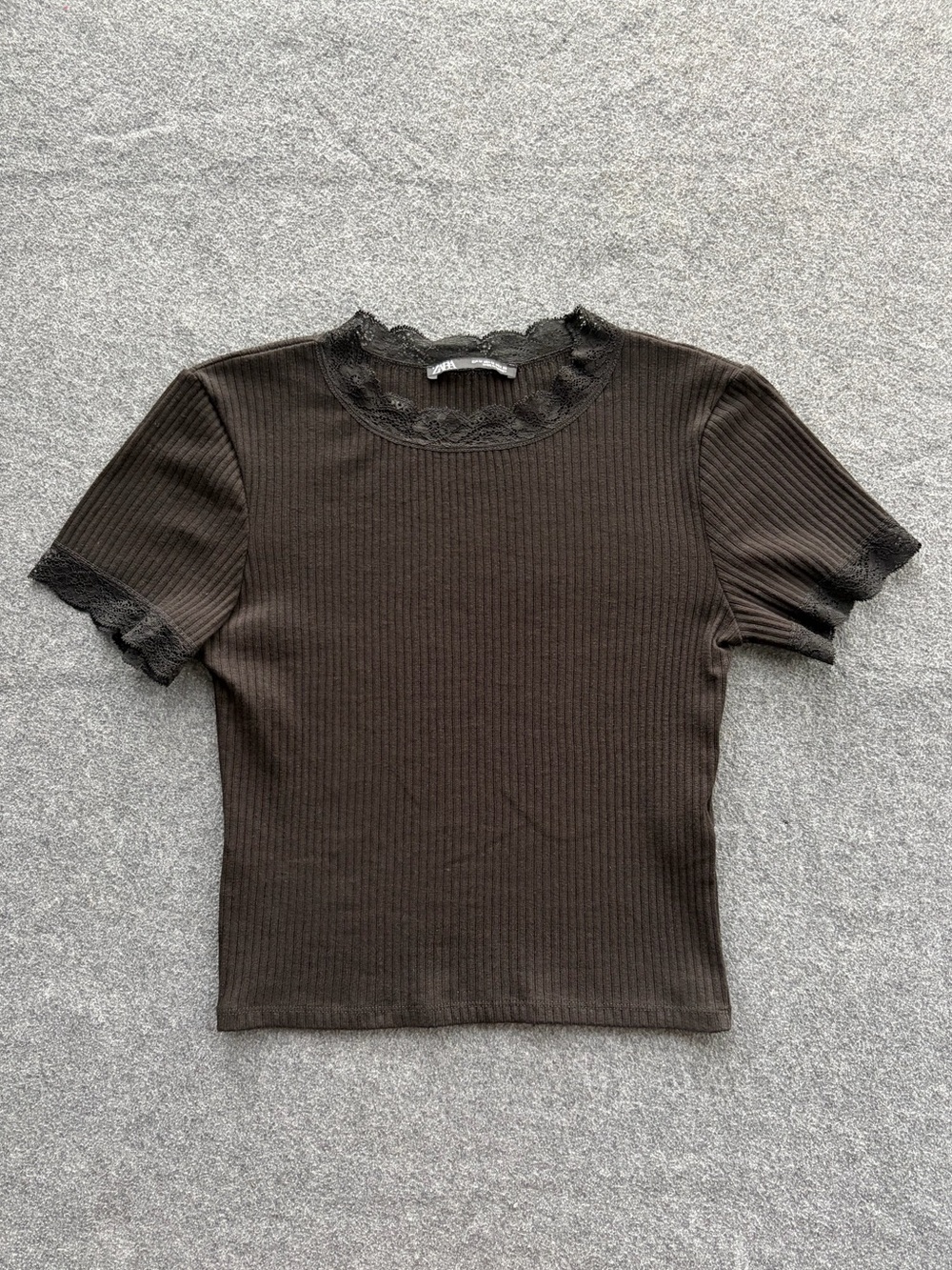 Zara Ribbed Cropped Short Sleeve Top with Lace Trim Witch Whimsigoth Stretch